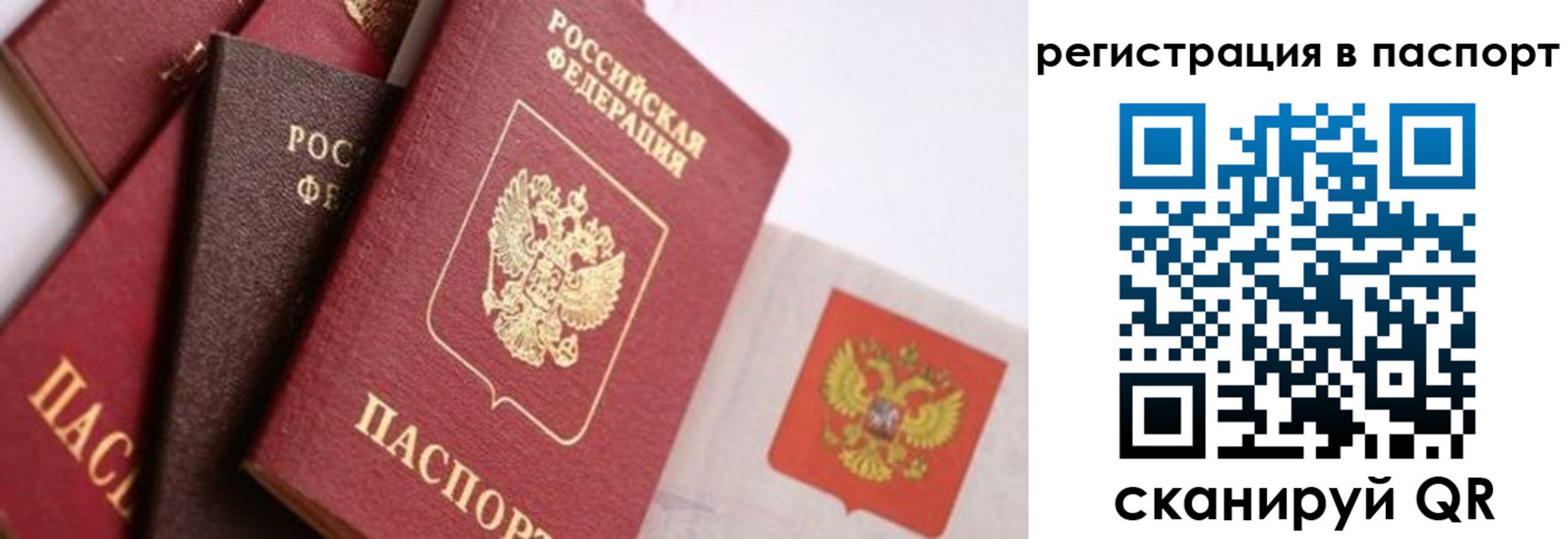 прописка в квартире в Емве